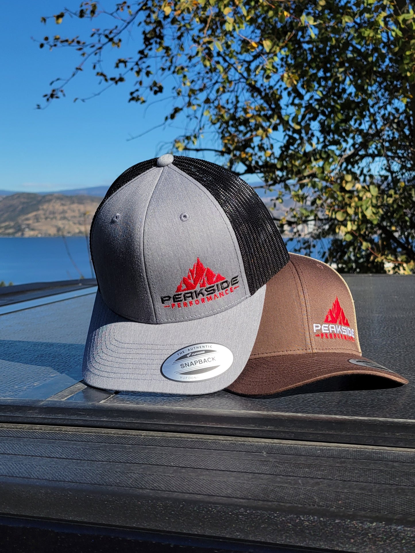 Peakside Performance Snapback